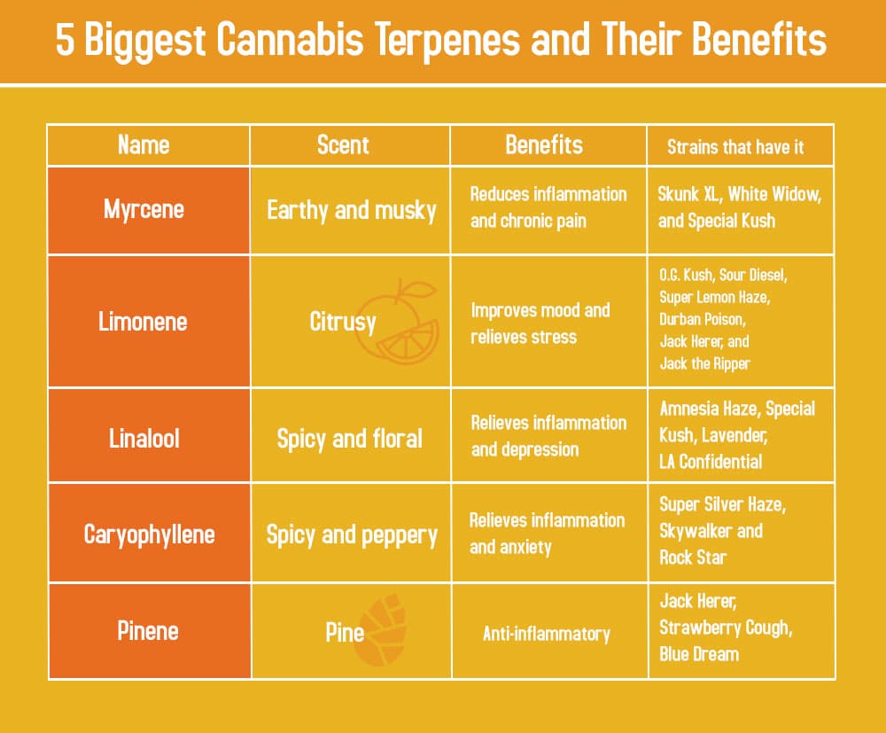 cannabis terpenes chart