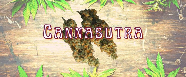 canna sutra strain us cannabis