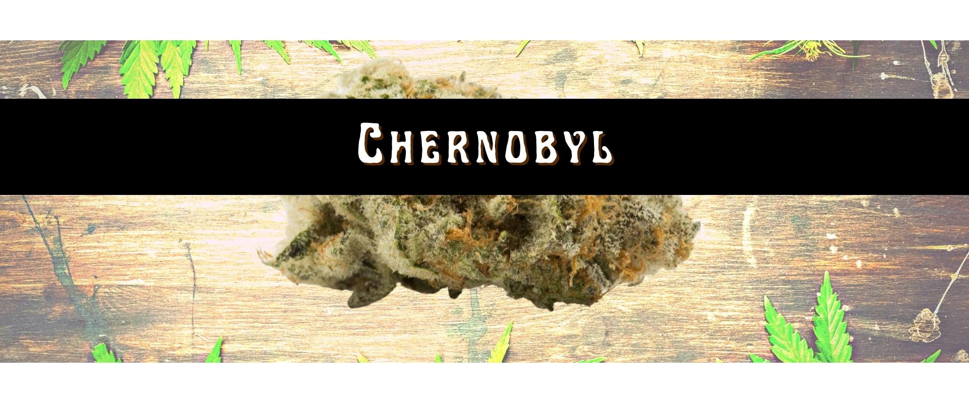 chernobyl strain