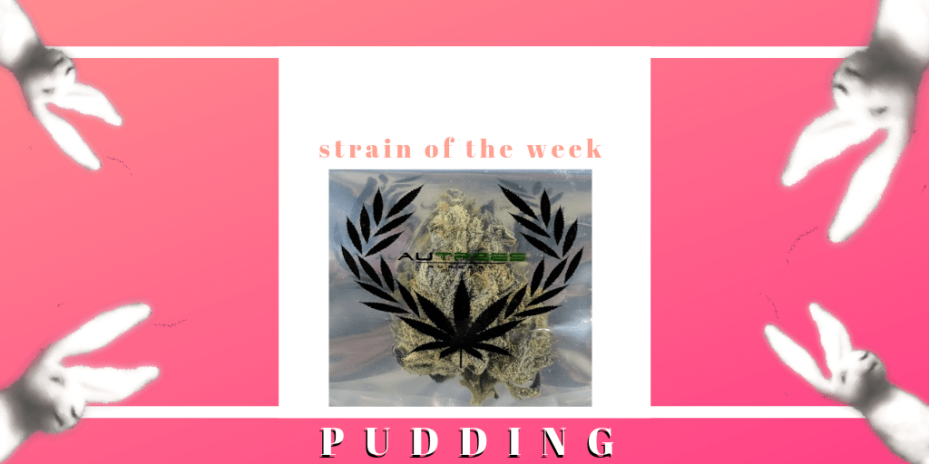 Pudding strain Autrees Nursery