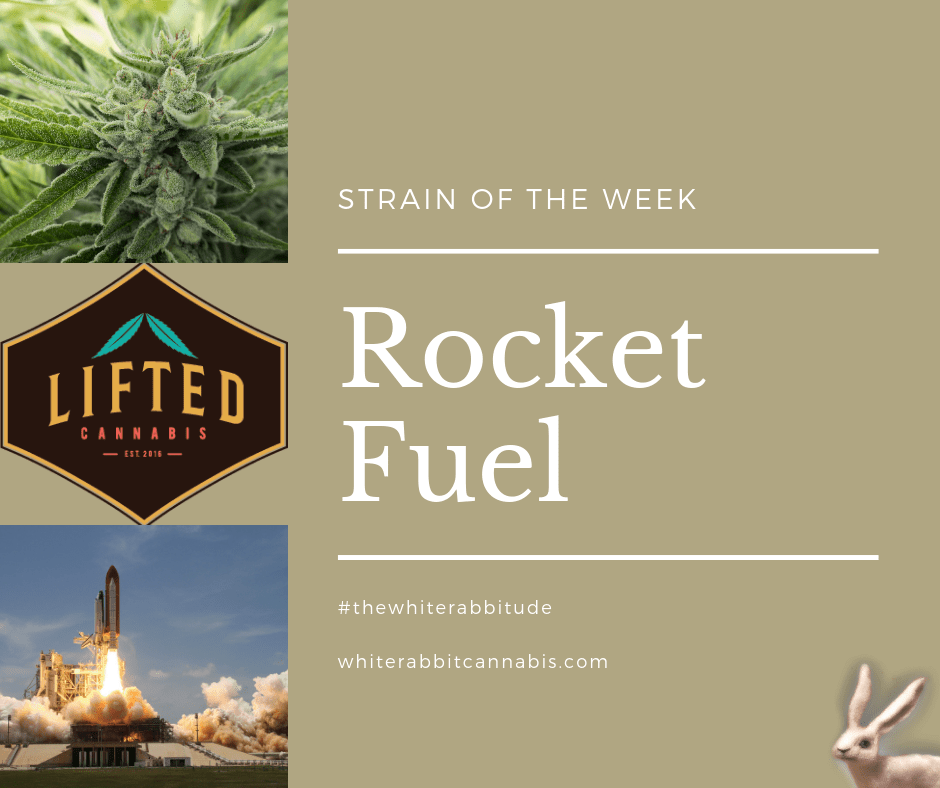 indica hybrid rocket fuel