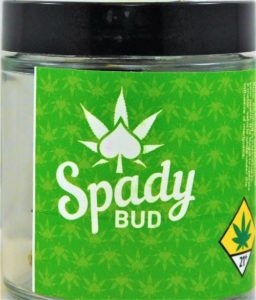 spady bud