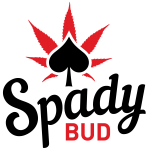 spady bud