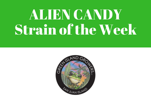 Alien Candy Green Island Growers