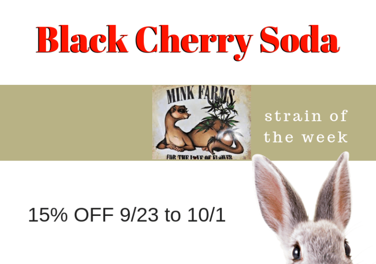Black Cherry Soda Mink Farms