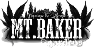 Mt Baker Gardens cookies n cream