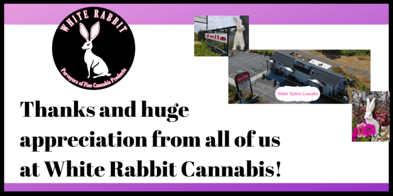 white rabbit cannabis thanks