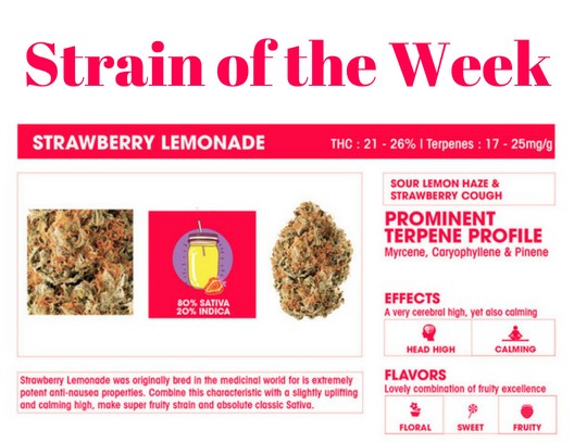 strain of the week Strawberry Lemonade by Sweetwater Farms