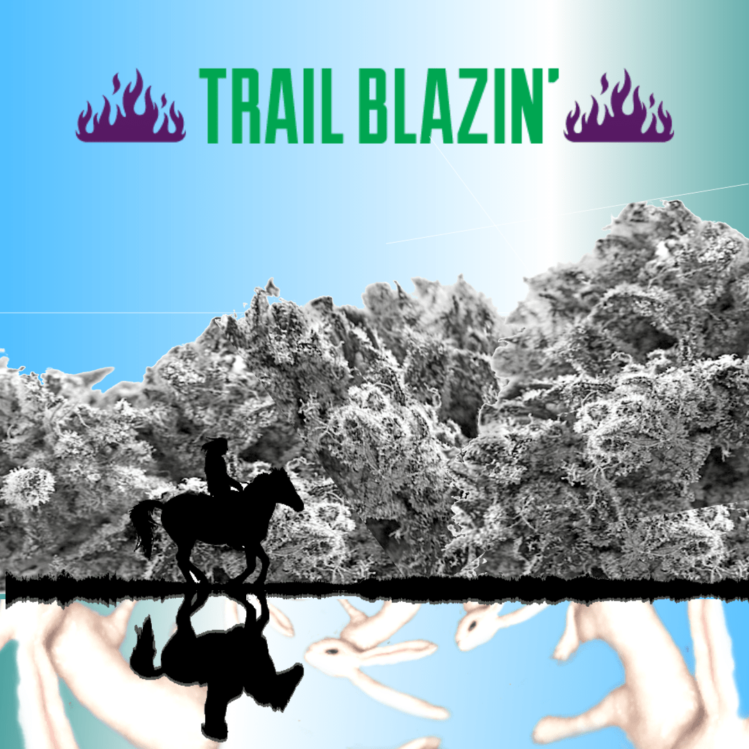 trail blazin