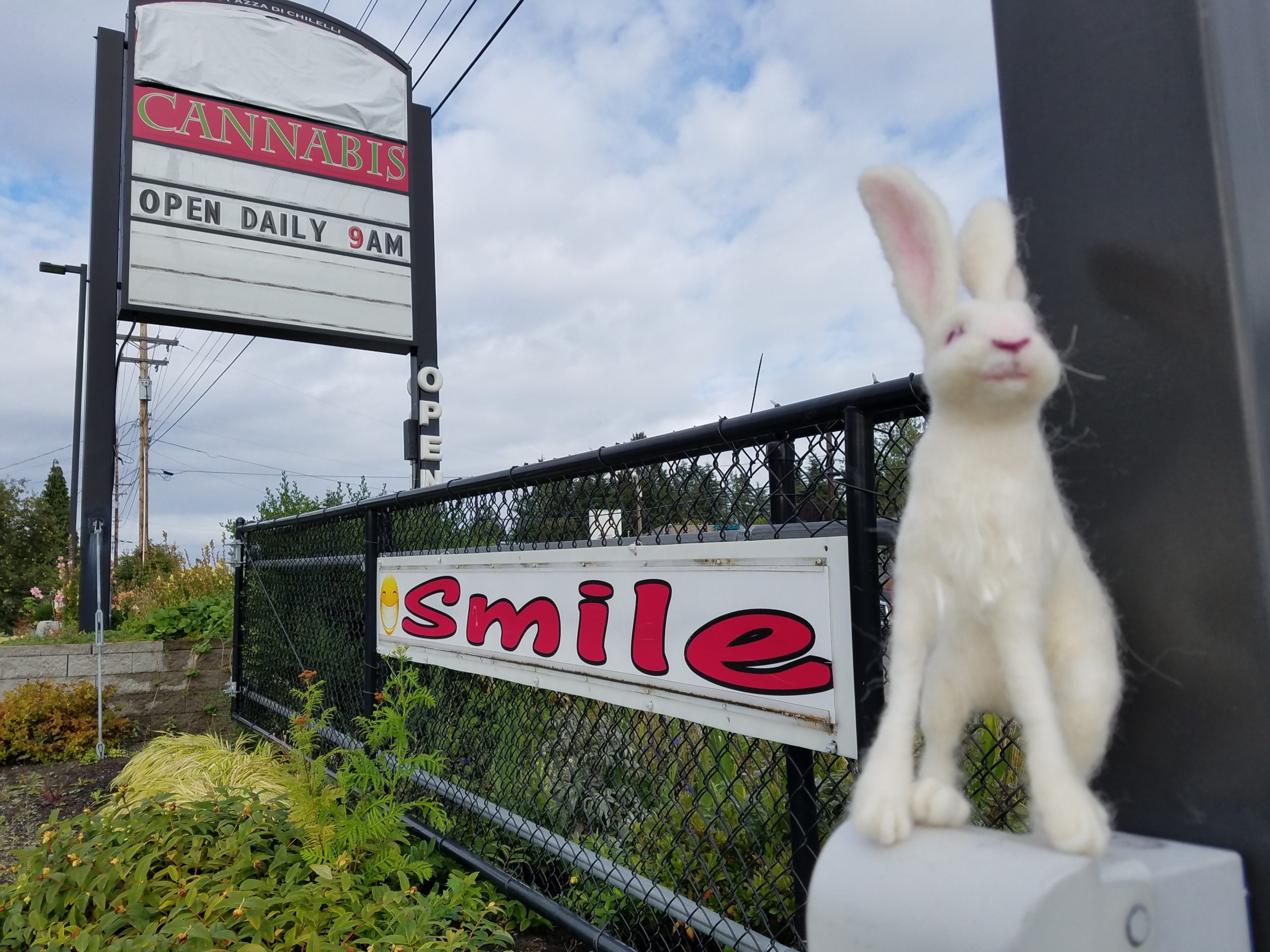 Smiles at White Rabbit Cannabis
