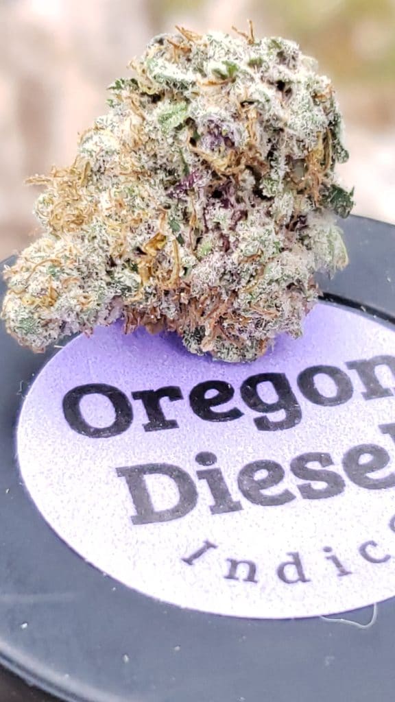 oregon diesel by top shelf cannabis