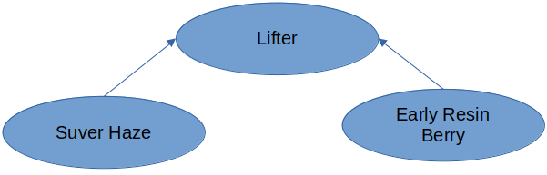 Lifter Lineage Chart