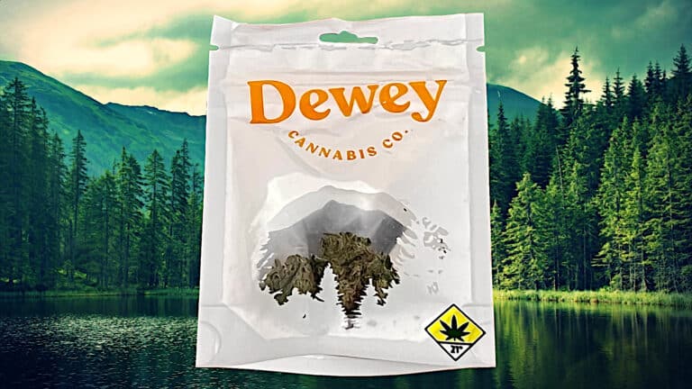 Dewey Packaging with Forest Background