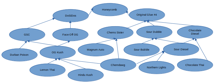 Honeycomb Lineage Chart