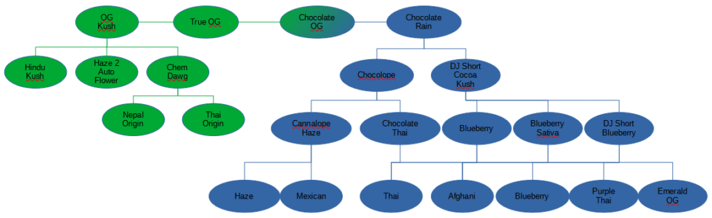 Chocolate OG Lineage Visio Diagram