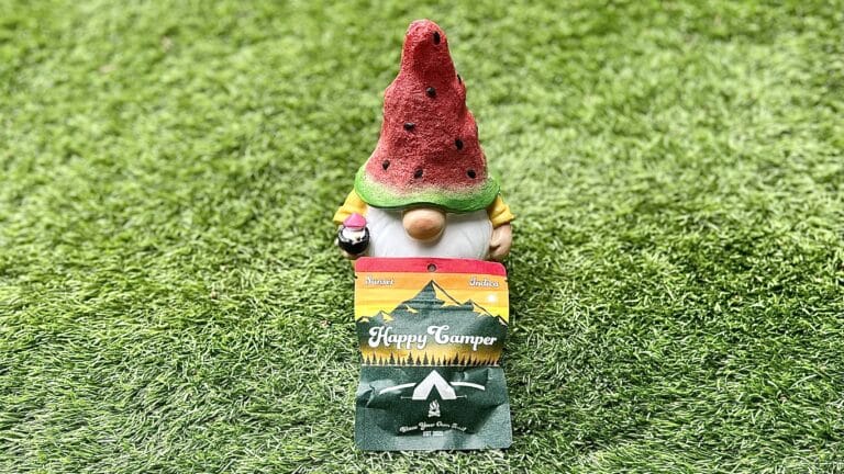 Gnome posing with Happy Camper LA Cheese gram of bud in packaging
