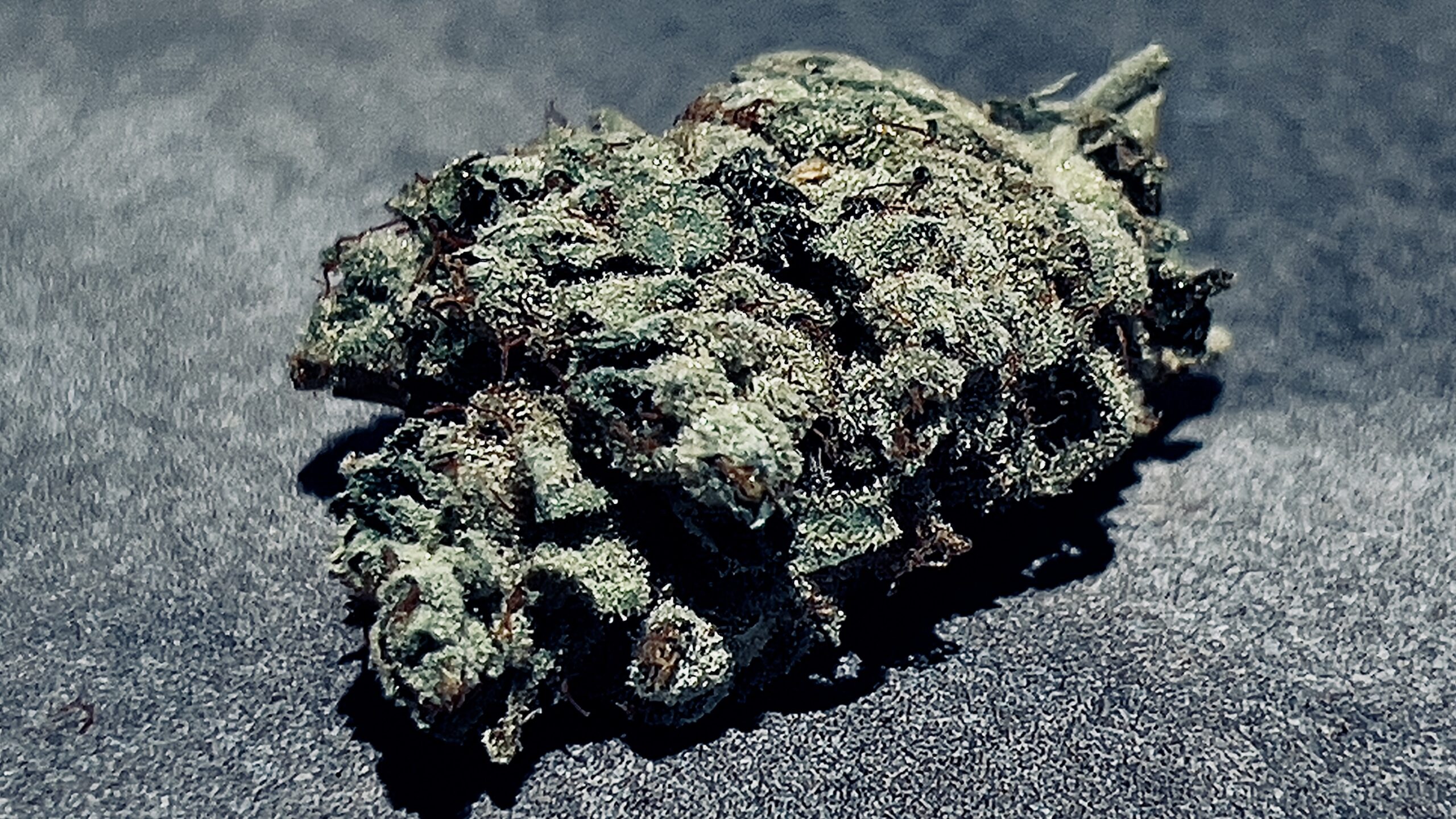 nice bud of cannabis flower