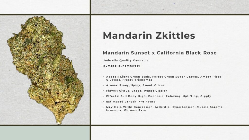 Mandarin Zkittles Photo and Data Sheet