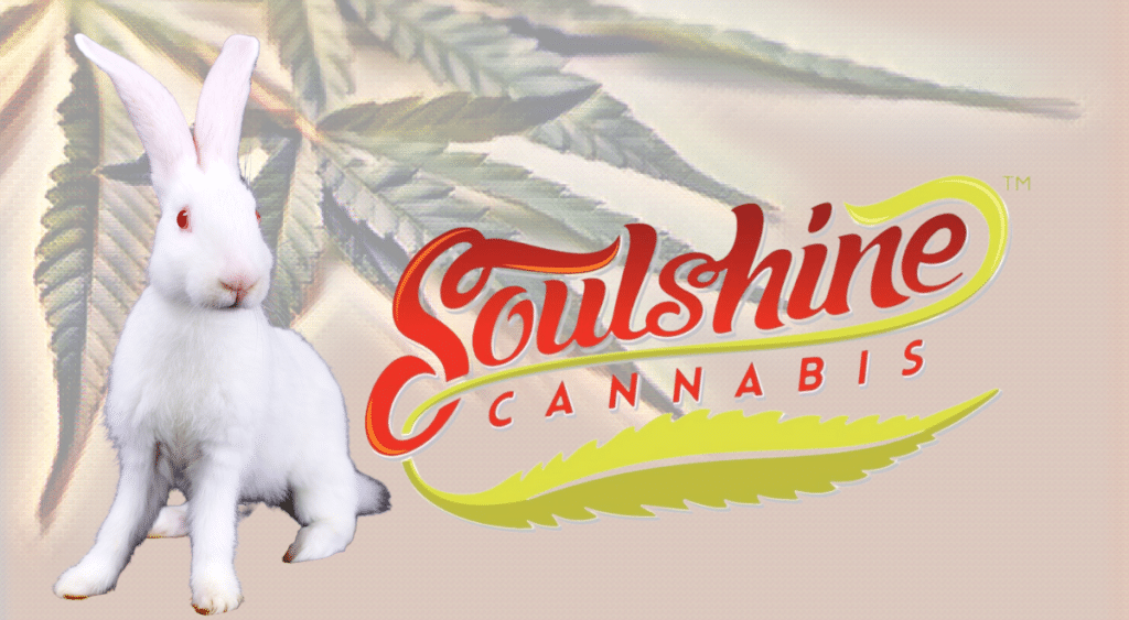 soulshine cannabis concentrates banner with white rabbit 
