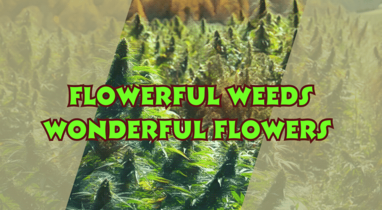 great weed flowers article header banner