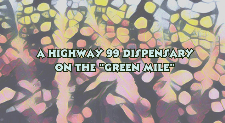 highway 99 dispensary article header image