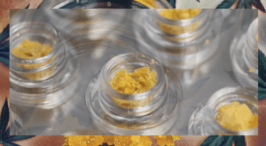 cannabis wax concentrates in clear glass jars