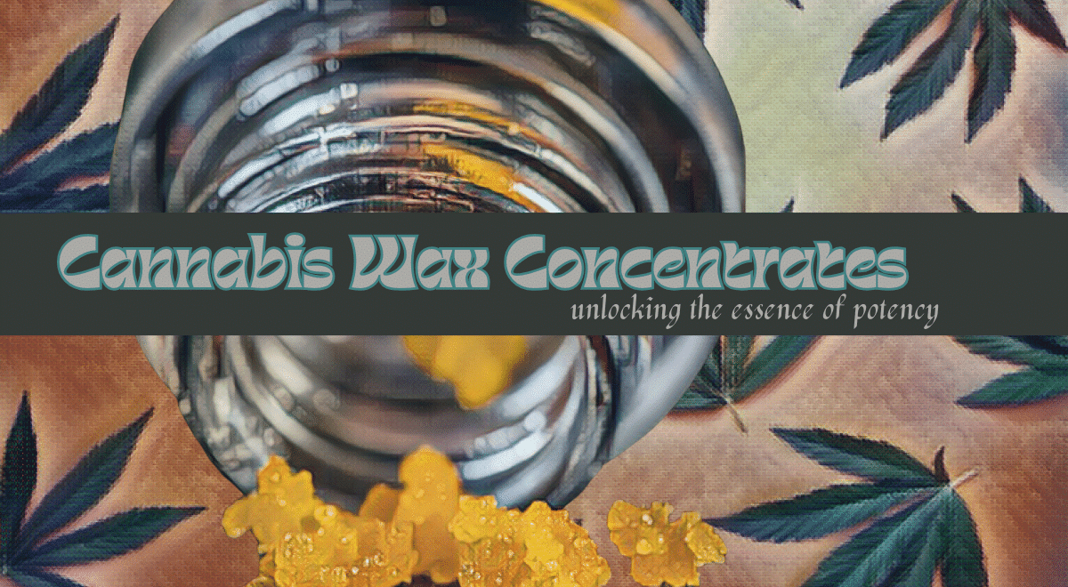 cannabis wax concentrates article with jar of wax picture