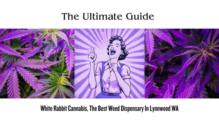 guide to best weed dispensary in lynnwood wa