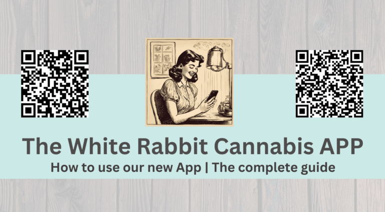 white rabbit cannabis app how to guide header