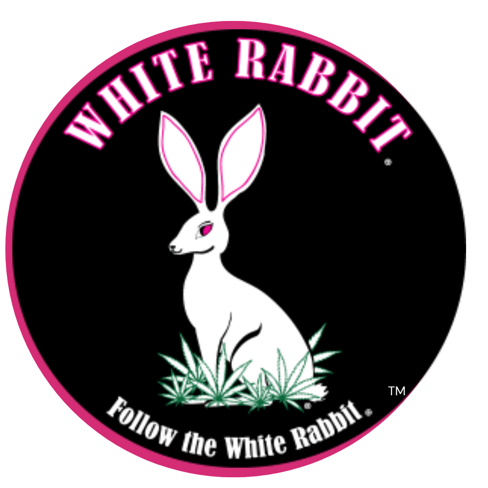 White Rabbit